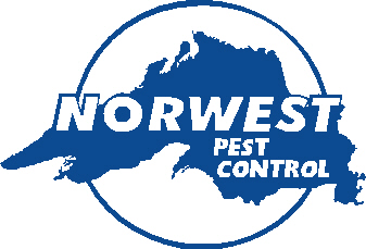 norwest-pest-control09